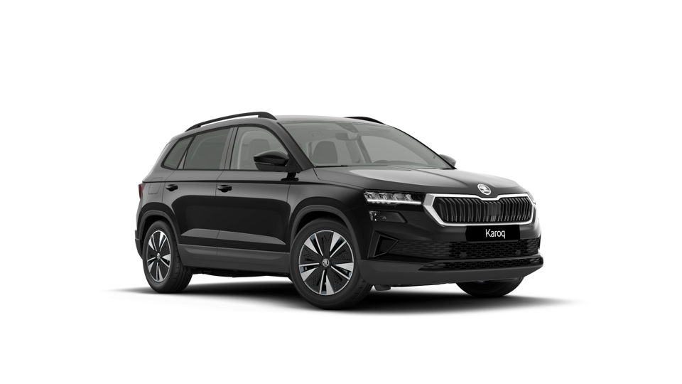 Škoda Karoq AM