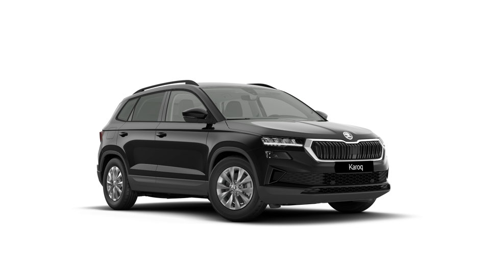 Škoda Karoq AM