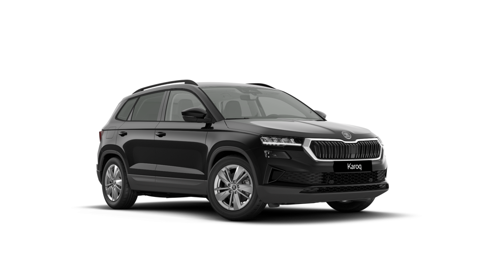 Škoda Karoq AM