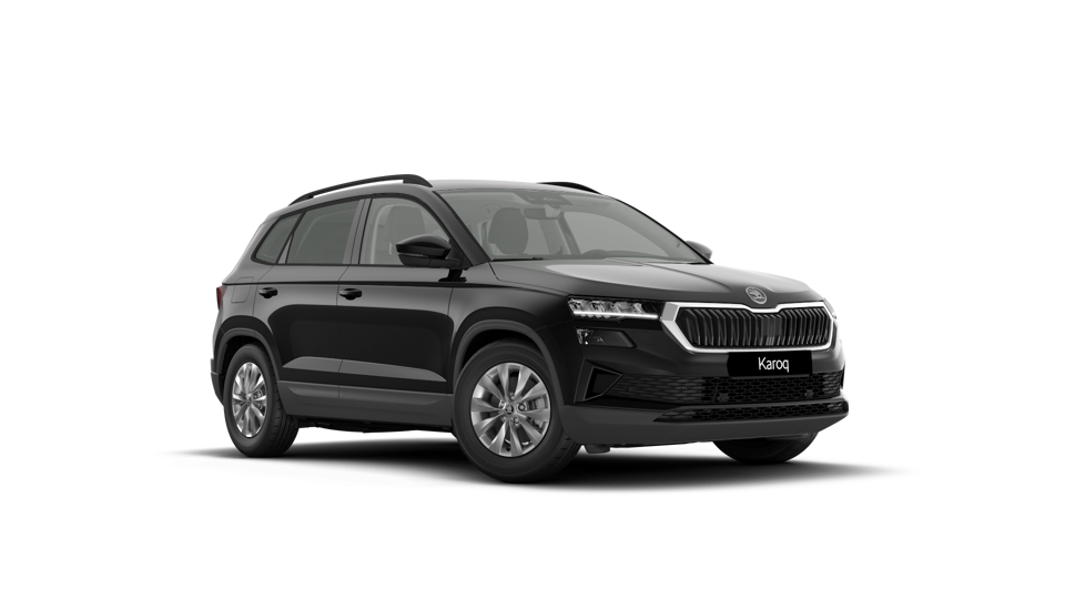 Škoda Karoq AM