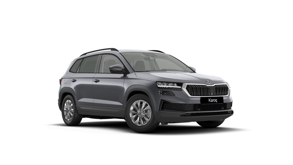 Škoda Karoq AM