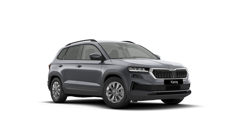 Škoda Karoq AM