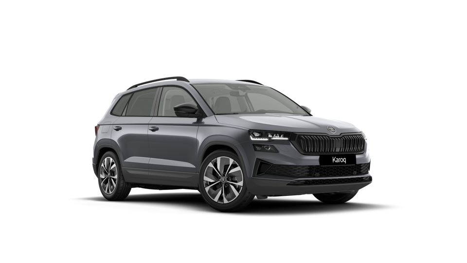 Škoda Karoq AM