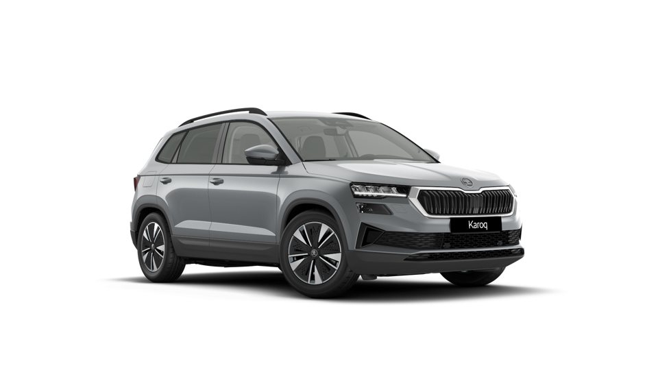 Škoda Karoq AM