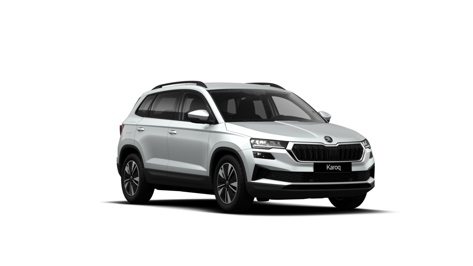 Škoda Karoq AM