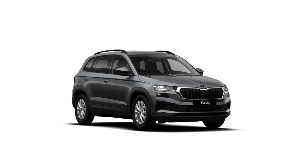 Škoda Karoq AM