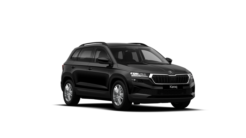 Škoda Karoq AM