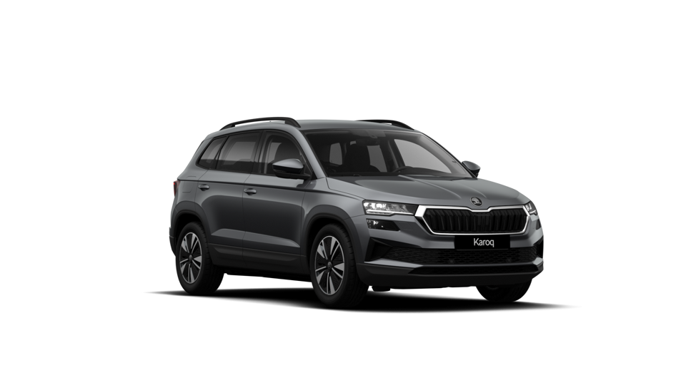 Škoda Karoq AM