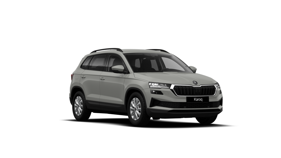 Škoda Karoq AM