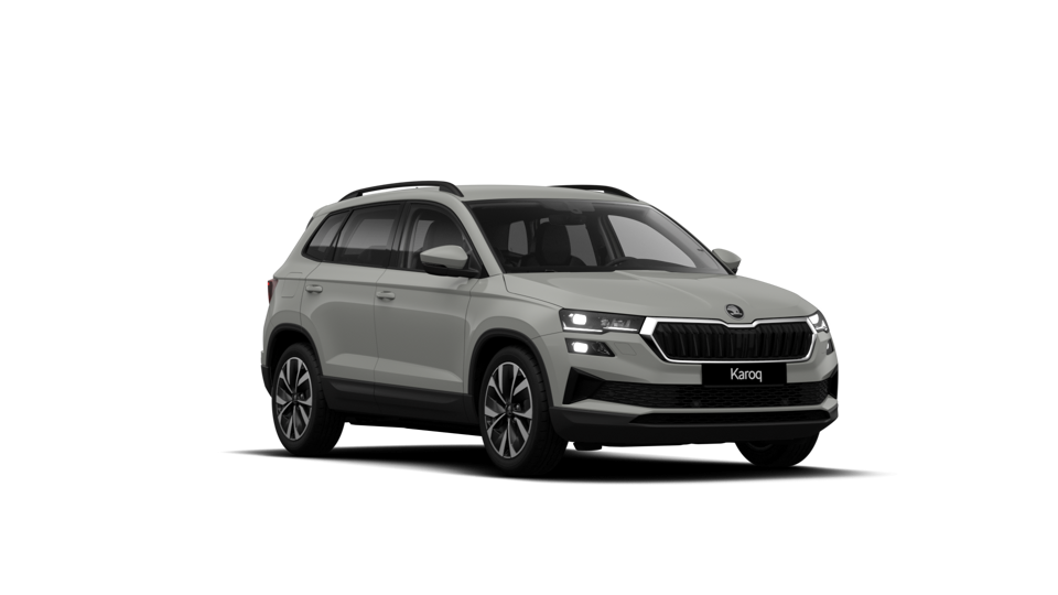 Škoda Karoq AM